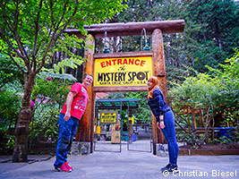 Mystery Spot near Santa Cruz, California