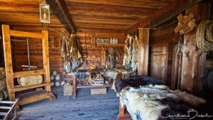 Various animal pelt and antique packaging device