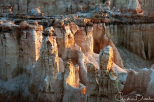 First light on sandstone towers