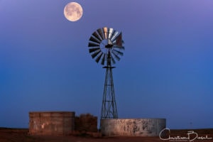 Aermotor windmill at Coal Mine Canyon