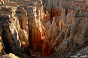 Afternoon light in Coal Mine Canyon