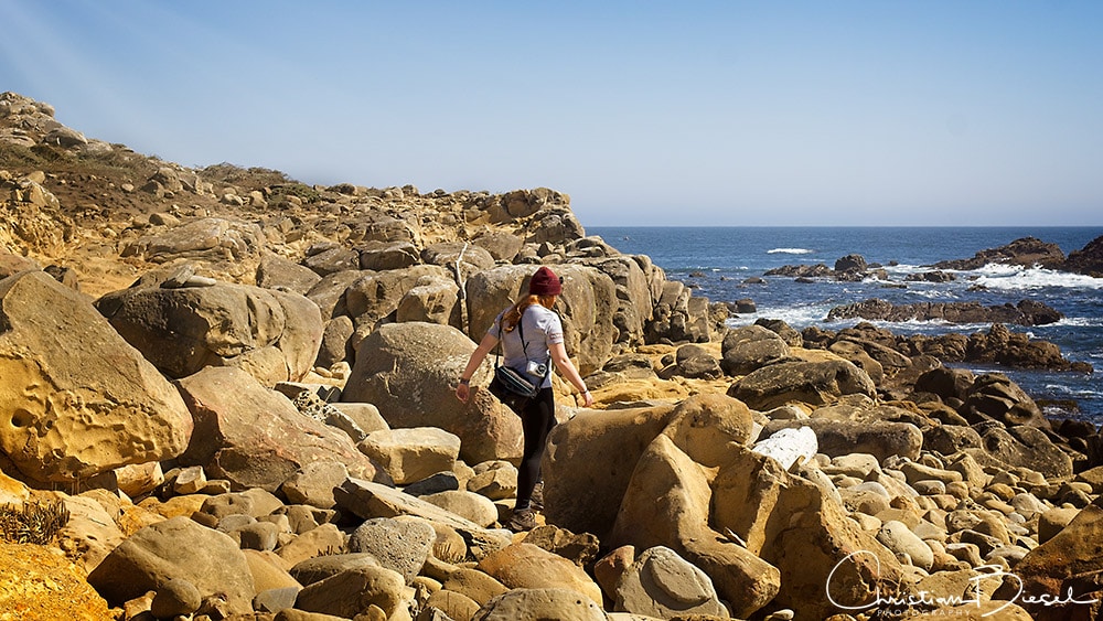 Salt Point State Park, California