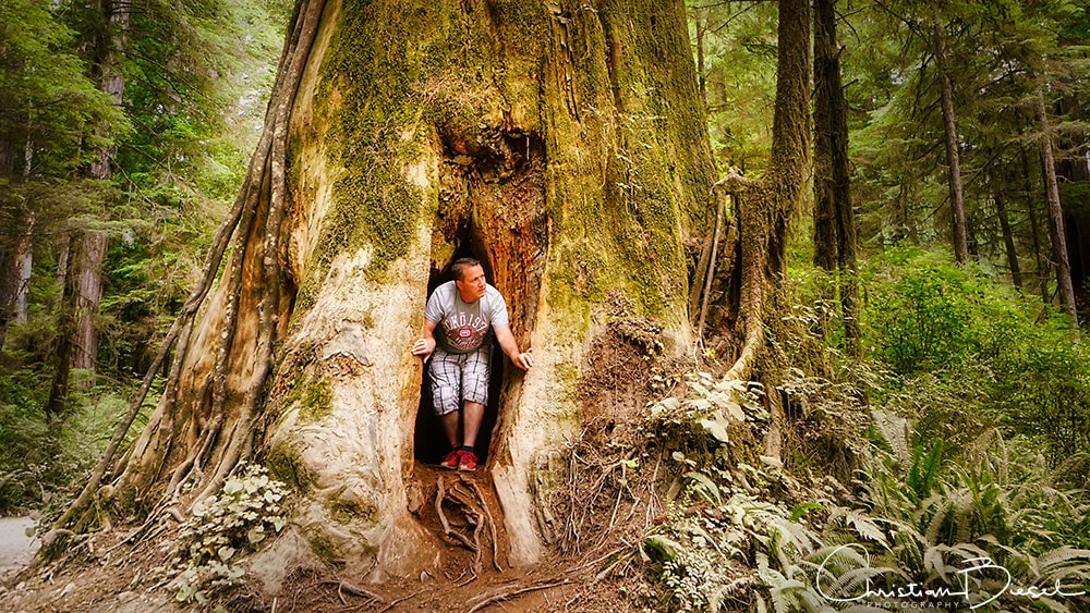 Christian climbs out of a hollow tree