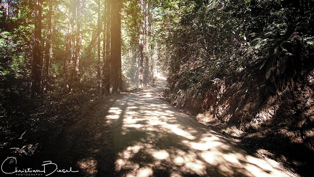 Usal Road in morning glow