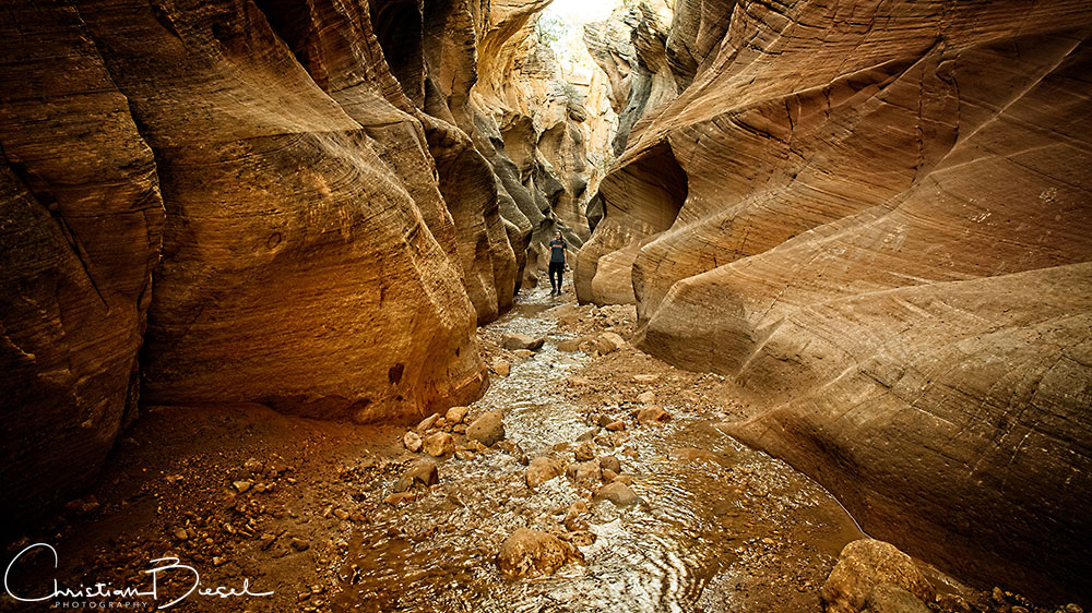 Willis Creek - Lisa is hiking