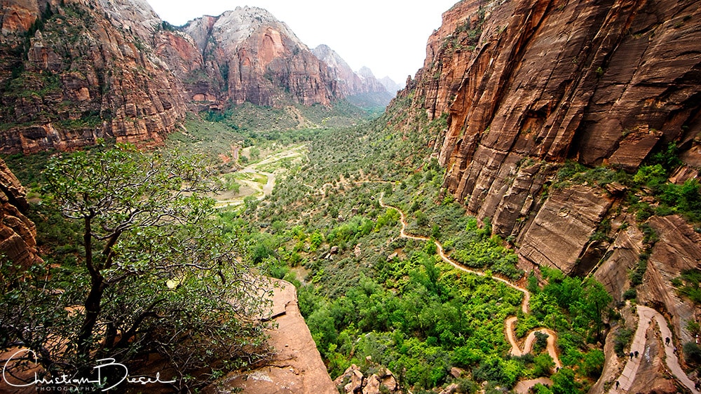 Zion NP Angels Landing Hike - A look back