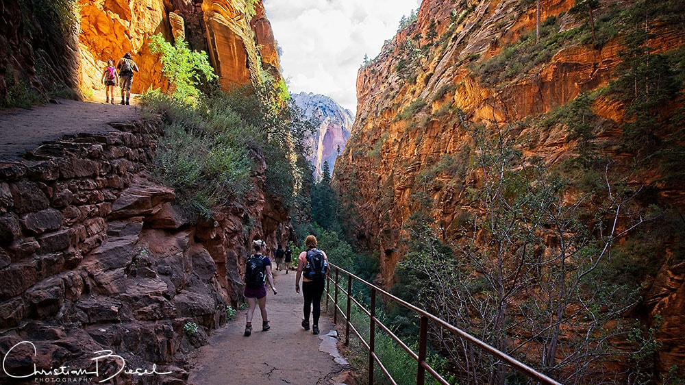 Zion Nat'l Park - Angels Landing Hike - Almost in the valley