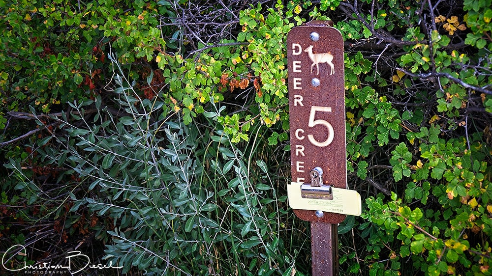 Deer Creek Cmpgrnd - Camp post clip with our permit tag