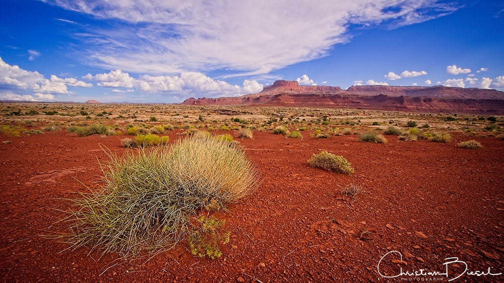 UT State Route 95 - White Canyon South Road Scenery