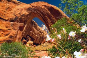 Broken Bow Arch in spring