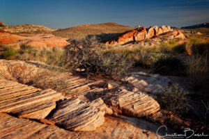 Valley of Fire - Pastel Canyon