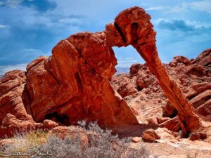 Elephant Rock, Valley of Fire, Nevada