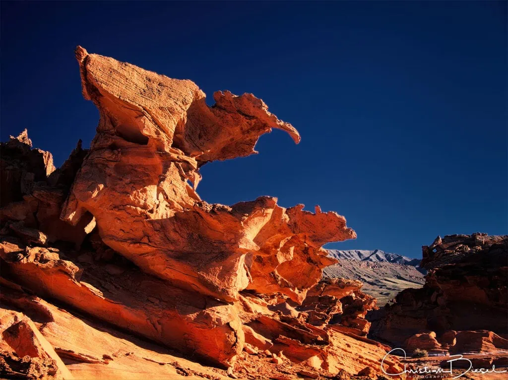 The Raptor, Little Finland, Gold Butte National Monument