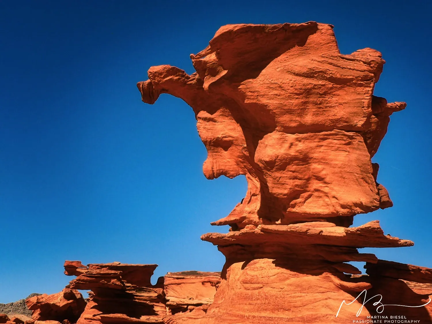 A rock formation in the shape of a harlequin with a blue sky. A rock with a lot of petroglyphs on it.
