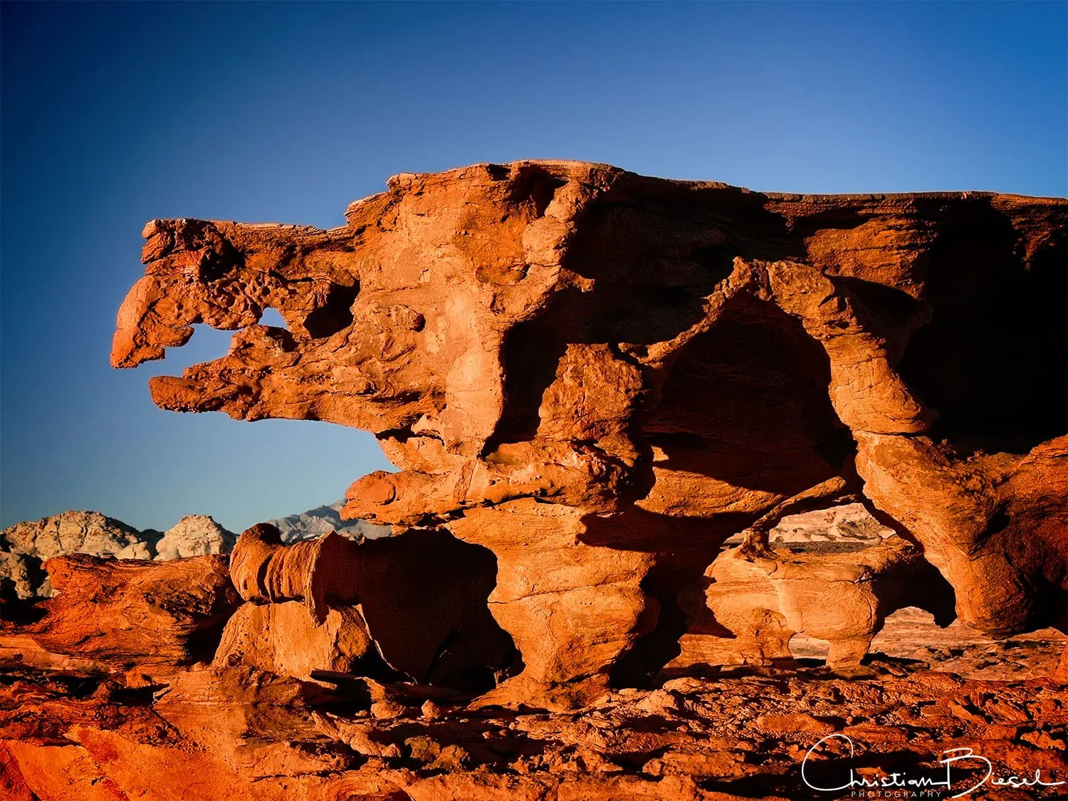 An ancient predator? A large rock formation in the desert of Nevada.