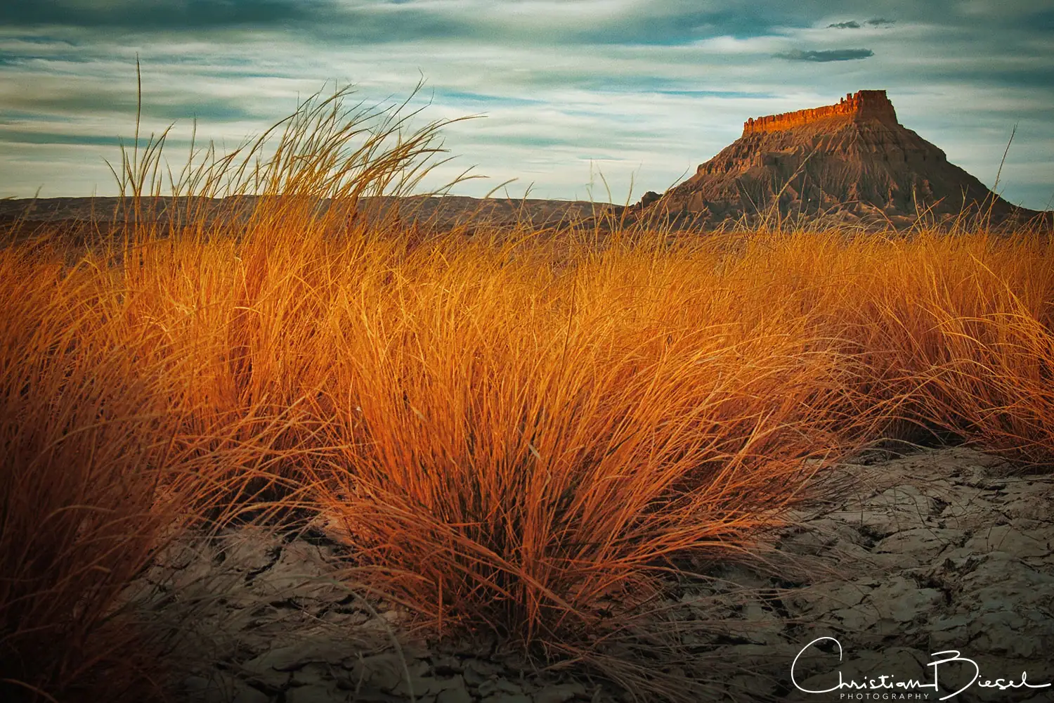 Wüstenlandschaft um den Factory Butte, mit goldenem Gras im Vordergrund Der Factory Butte im Hintergrund, mit weichem, goldenem Gras in der Wüstenlandschaft.