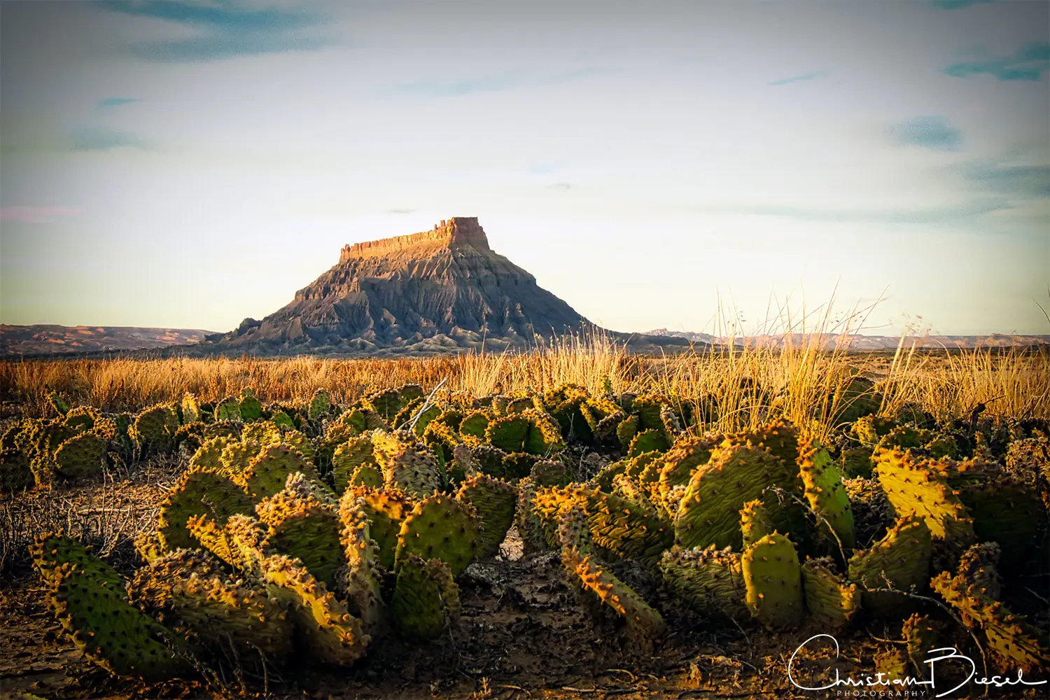 Sonnenuntergang am Factory Butte in Utah mit Kakteen im Vordergrund Factory Butte bei Sonnenuntergang, Kakteen im Vordergrund, Utah, Natur, Wüstenlandschaft.