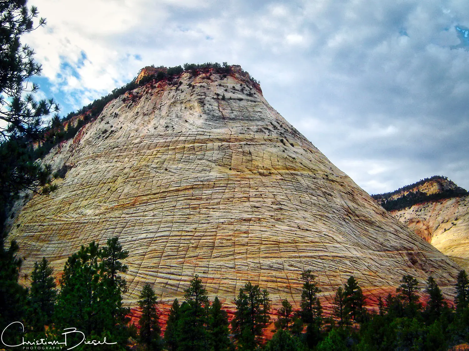 Checkerboard Mesa, Zion National Park, Utah, Südwesten, USA. Checkerboard Mesa mit bunten Schichten, dramatischem Himmel, markanter Punkt im Zion National Park, Utah. Südwesten der USA
