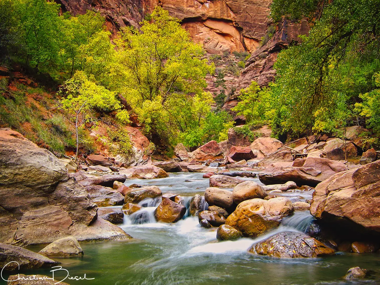 Virgin River im Zion National Park, Utah Altehrwürdige Felsen des Zion National Parks, Virgin River und grüne Bäume in der Natur.
