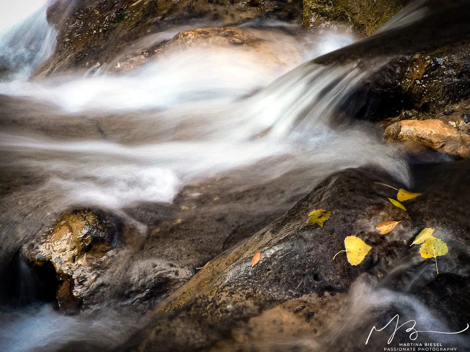 Sanfter Wasserlauf des Virgin River im Zion National Park im Herbst Sanfte Wasserbewegung des Virgin River über Steine, ruhige Flusslandschaft im Herbst.